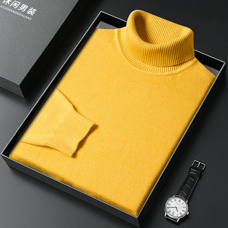 Stylish cashmere turtleneck sweater