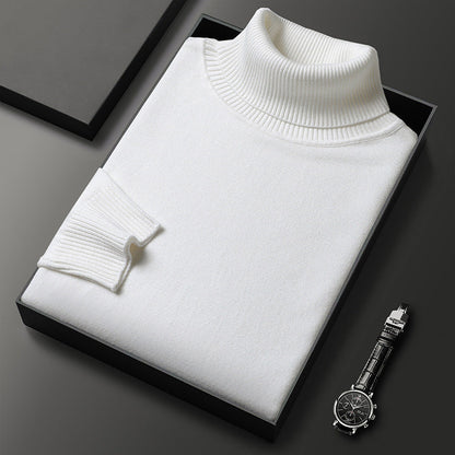 Stylish cashmere turtleneck sweater